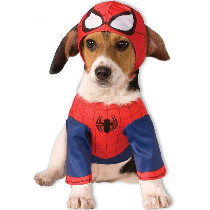 Disfraz de Spiderman para perro