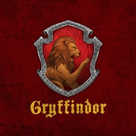 Regalos y disfraces Gryffindor Harry Potter