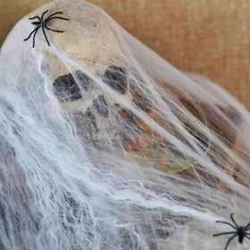 Telarañas e insectos de Halloween